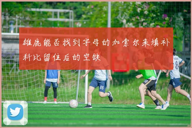 雄鹿能否找到字母的加索尔来填补科比留住后的空缺