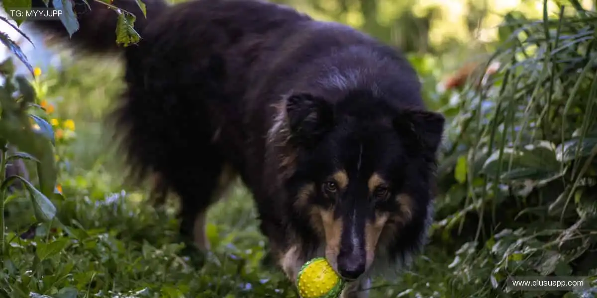 从赛场到生活，运动基因无处不在！🎾💪