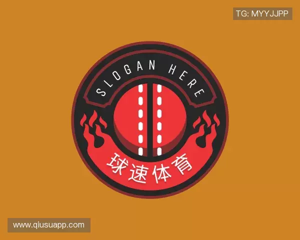 关于球速体育公司